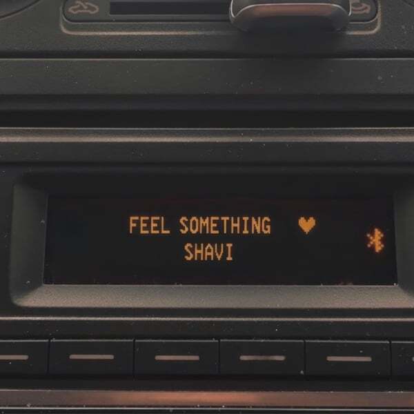 Cover art for Feel Something